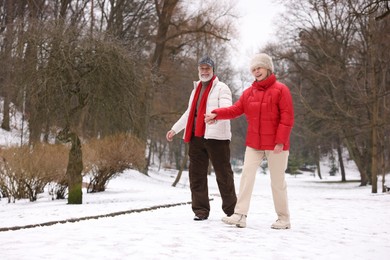 Photo of Happy senior couple walking in winter park. Space for text