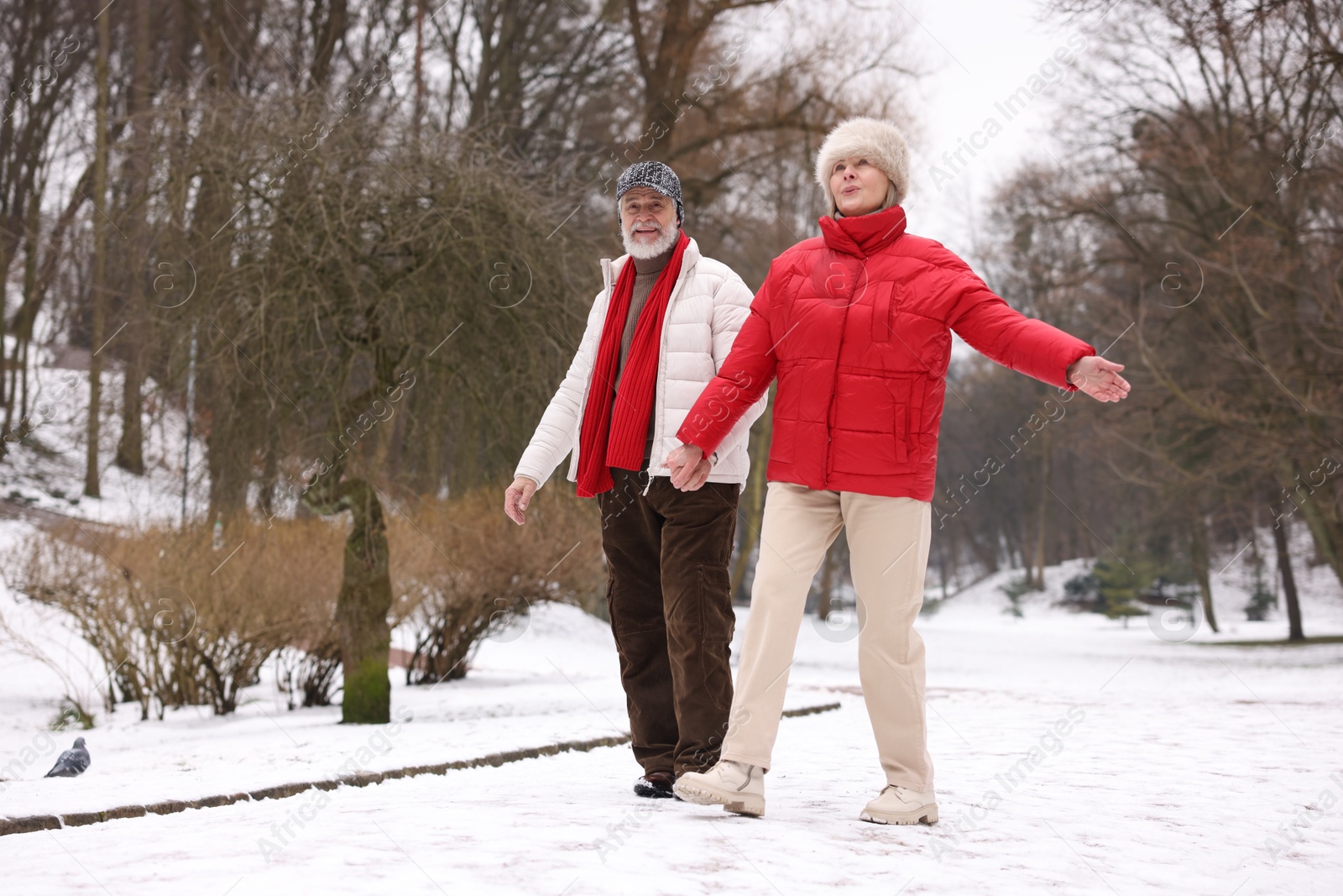 Photo of Happy senior couple walking in winter park. Space for text