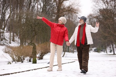 Photo of Happy senior couple walking in winter park. Space for text