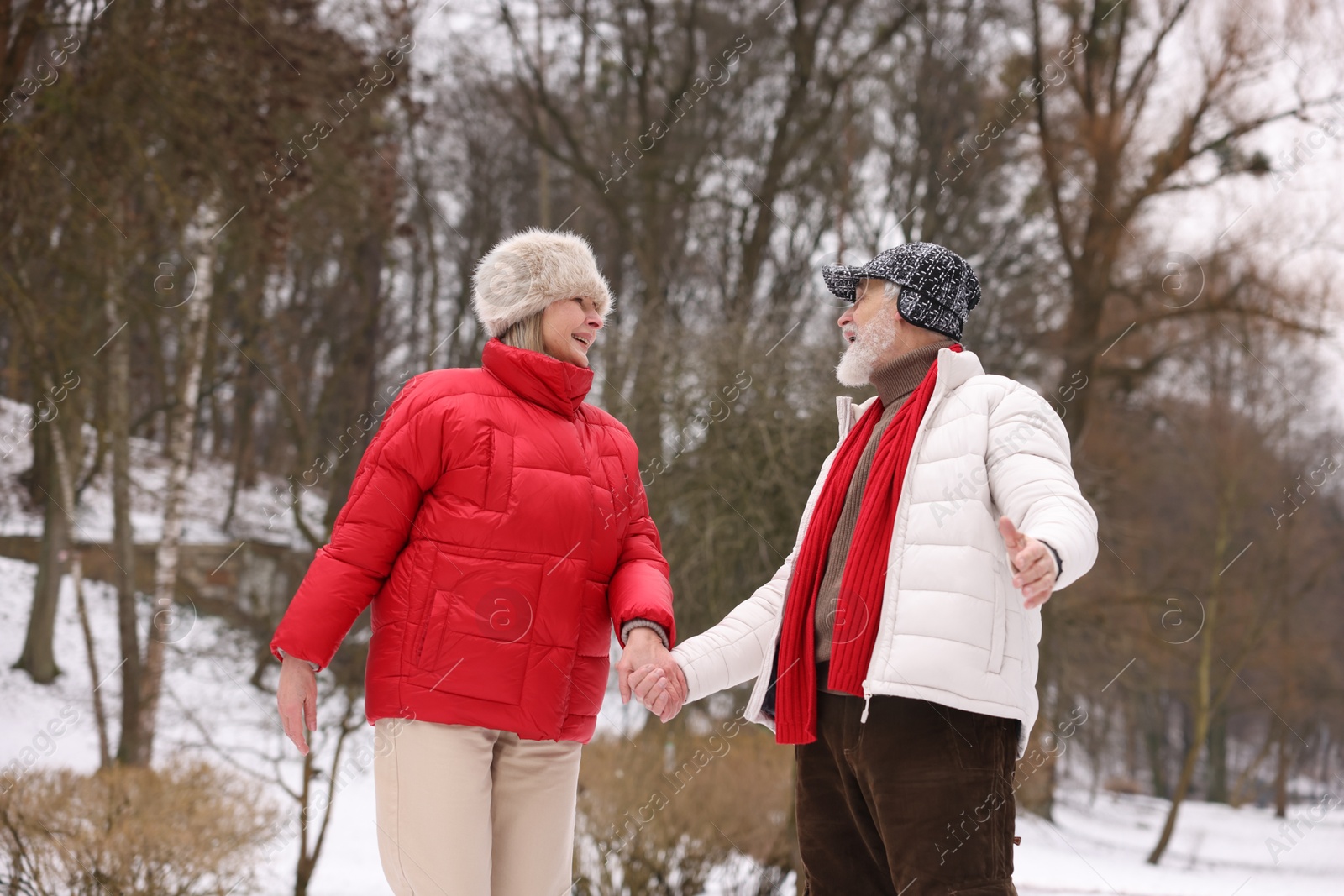 Photo of Happy senior couple walking at winter park