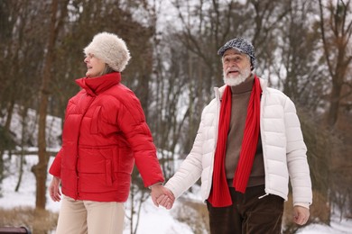 Photo of Happy senior couple walking at winter park