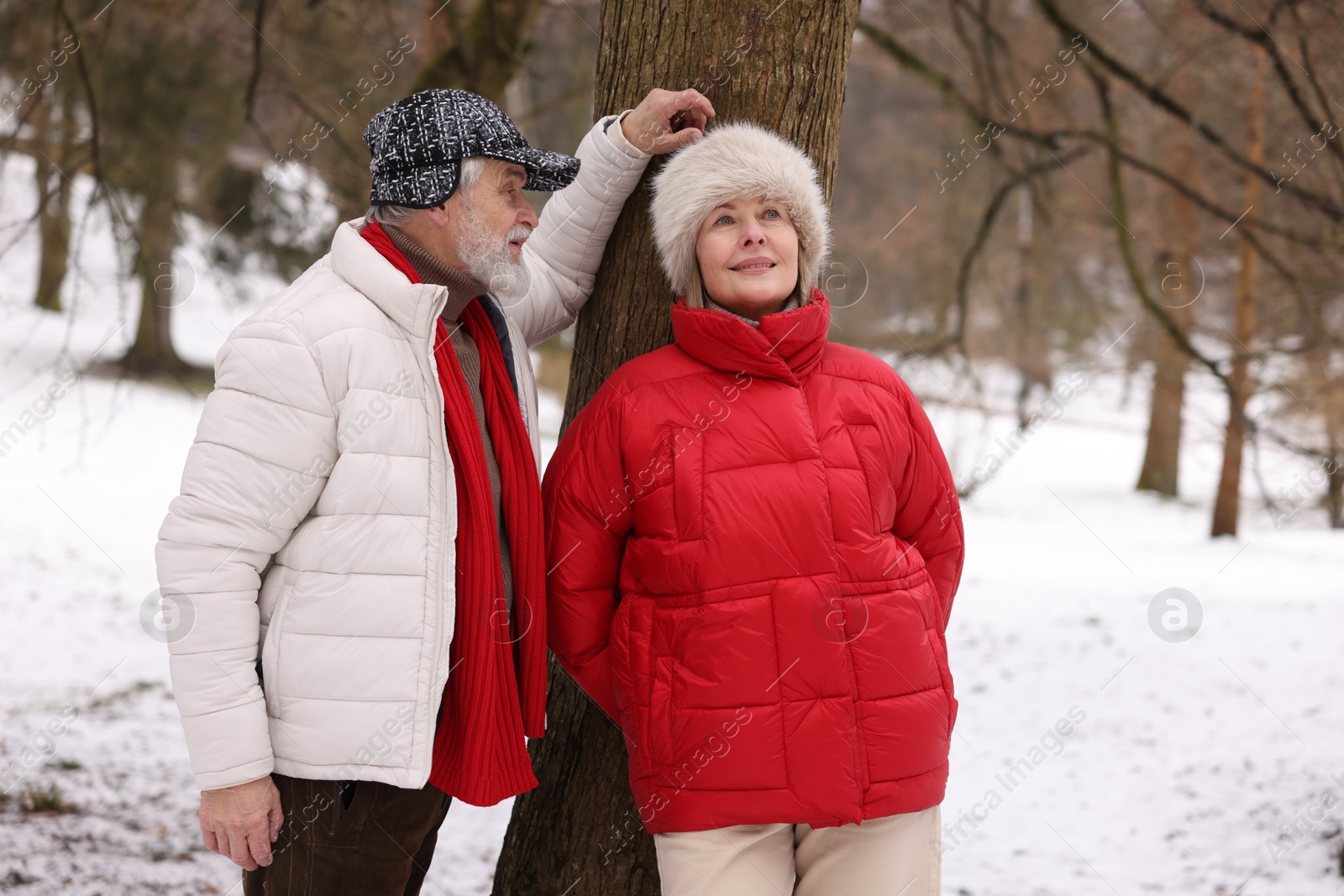 Photo of Lovely senior couple spending time together in winter park