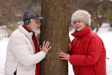 Photo of Lovely senior couple spending time together in park