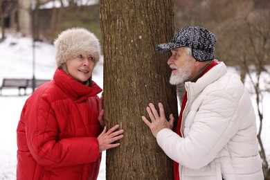 Photo of Lovely senior couple spending time together in park