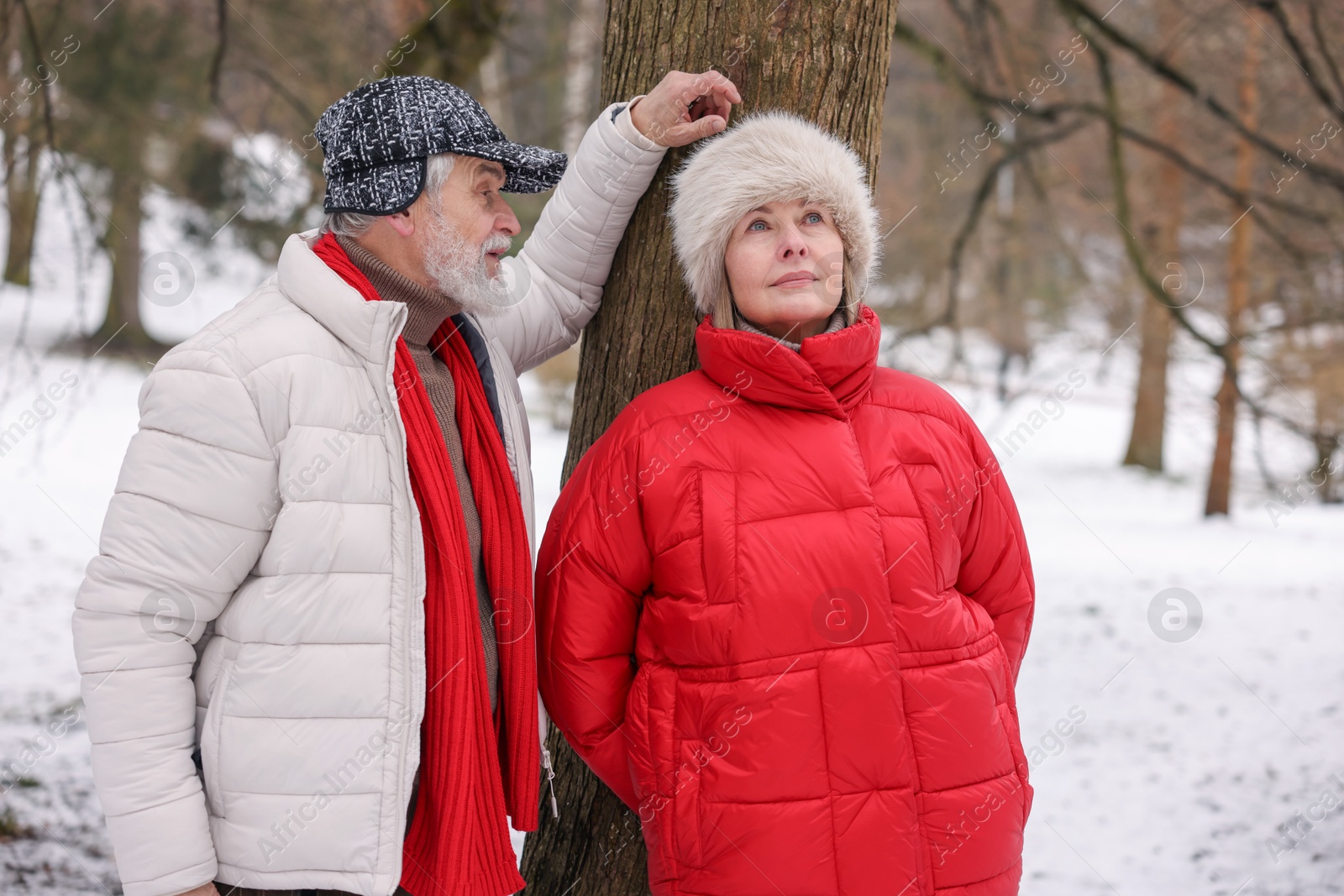 Photo of Lovely senior couple spending time together in winter park