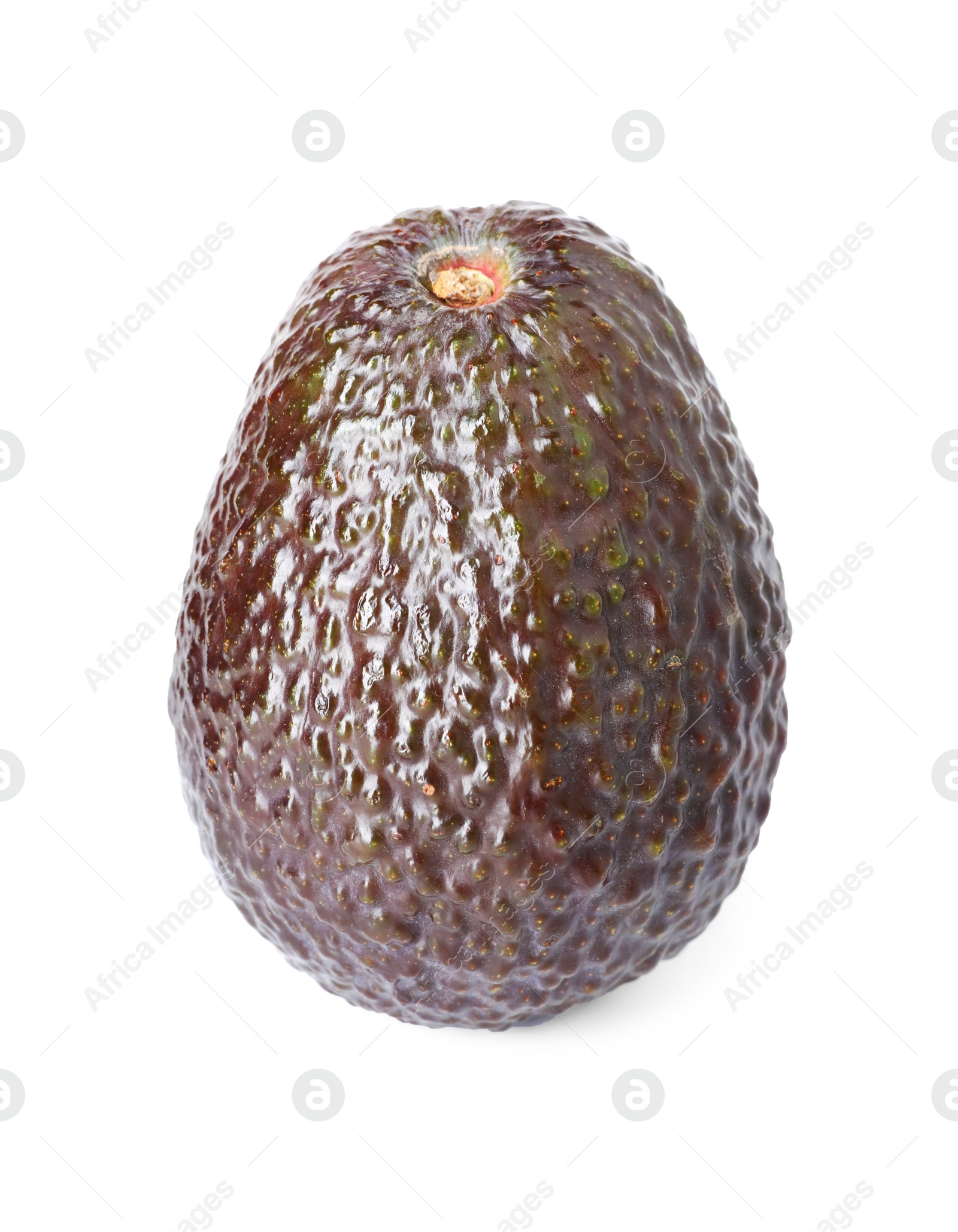 Photo of One whole ripe avocado isolated on white