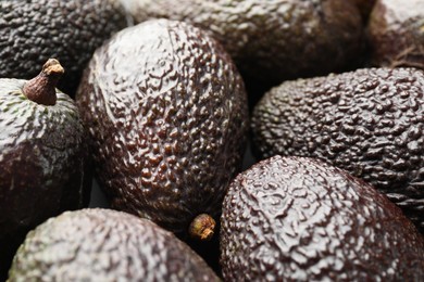 Photo of Many whole ripe avocados as background, closeup