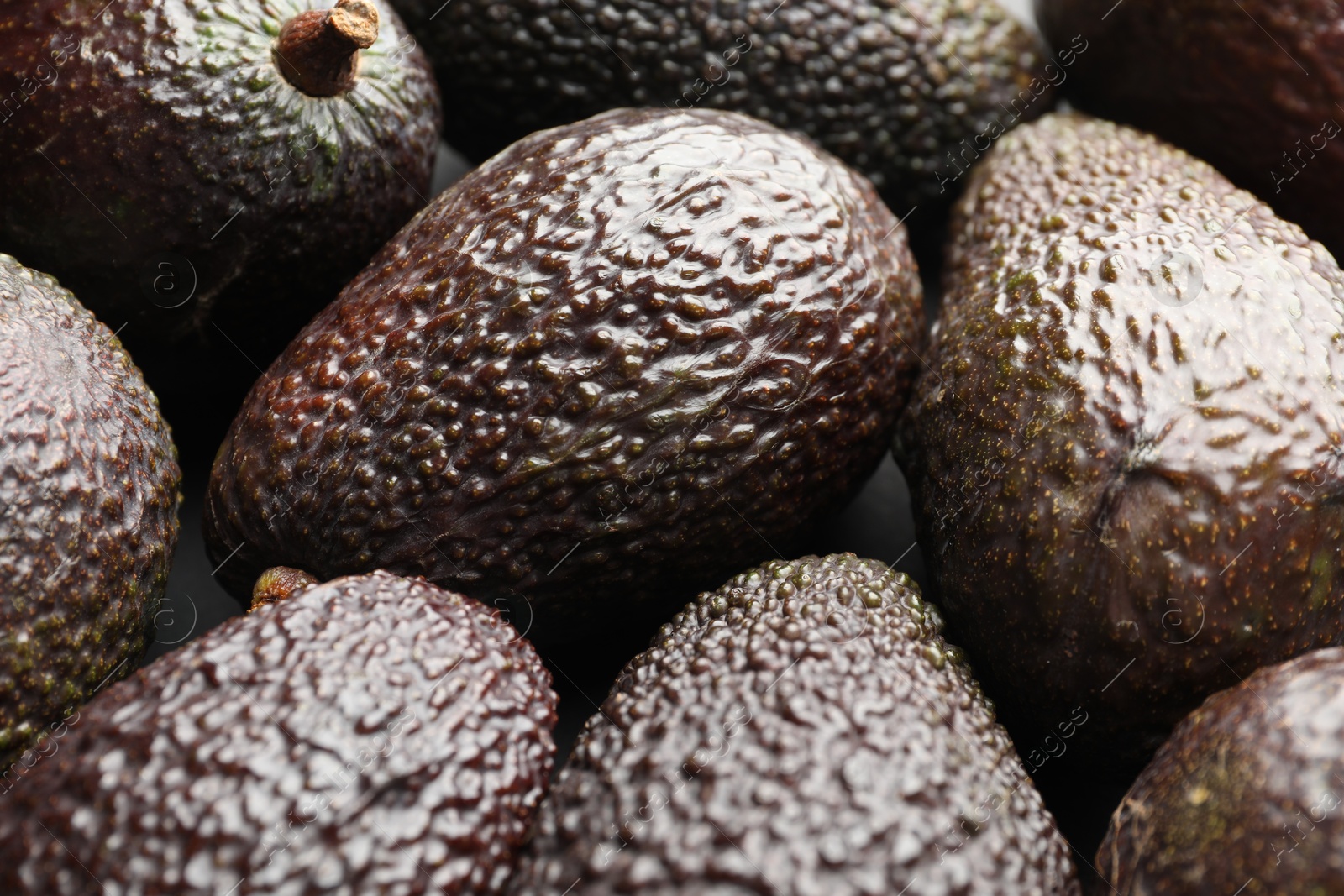 Photo of Many whole ripe avocados as background, closeup