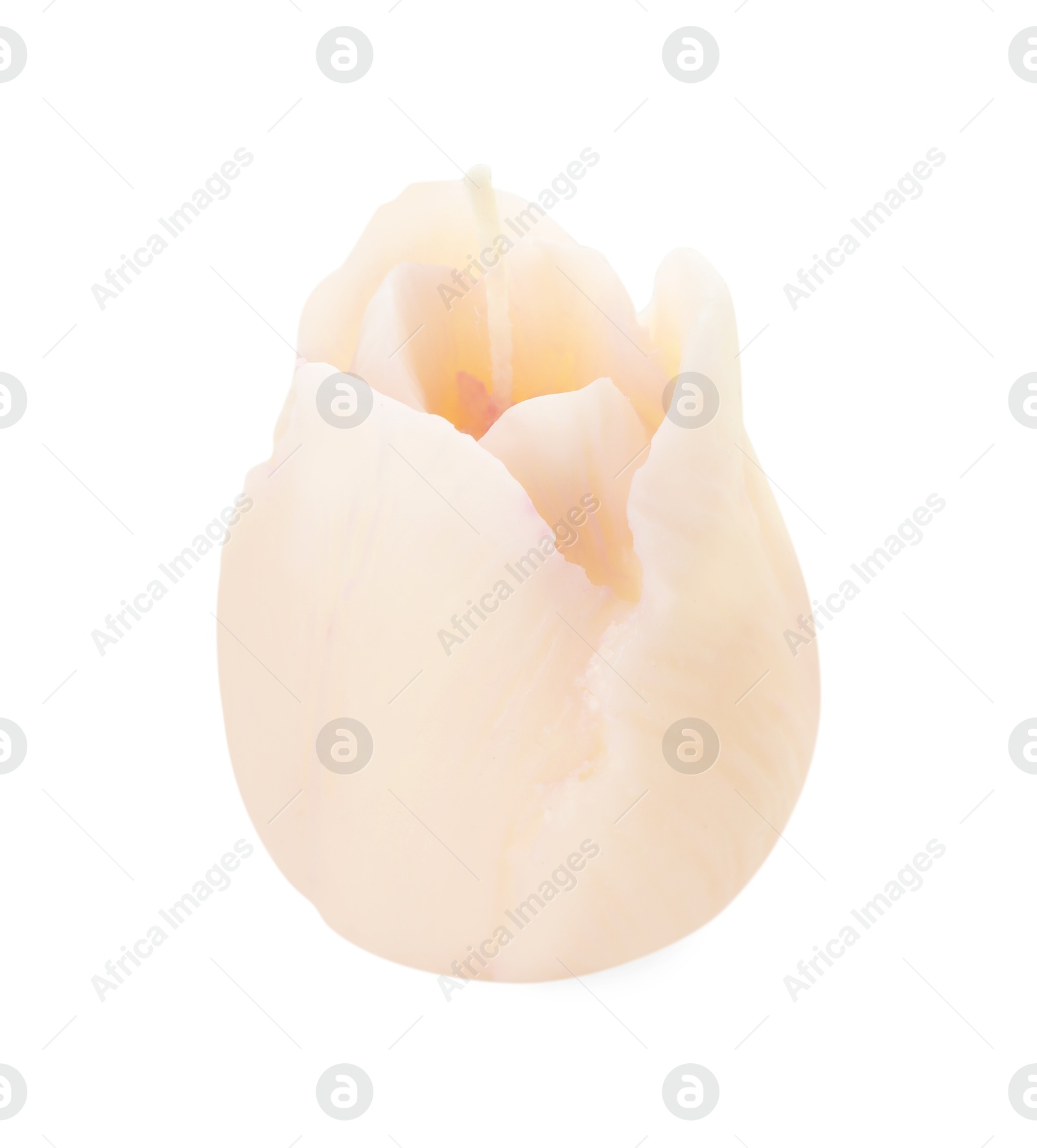 Photo of One beautiful flower-shaped candle isolated on white