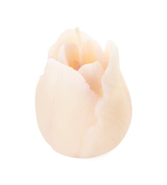 Photo of One beautiful flower-shaped candle isolated on white