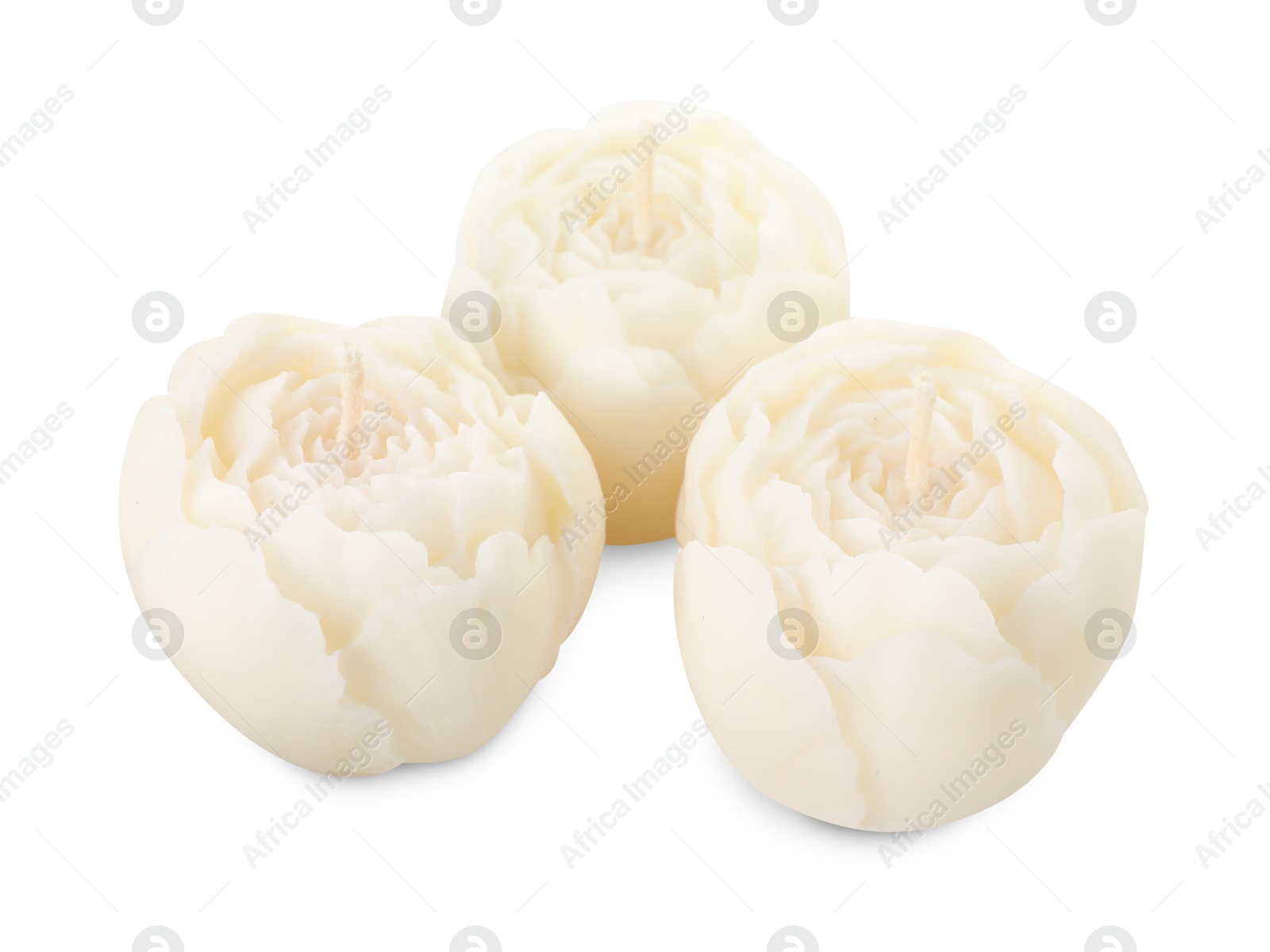 Photo of Many beautiful flower-shaped candles isolated on white