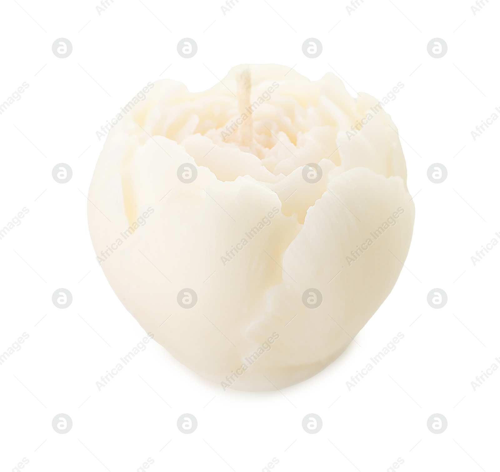 Photo of One beautiful flower-shaped candle isolated on white