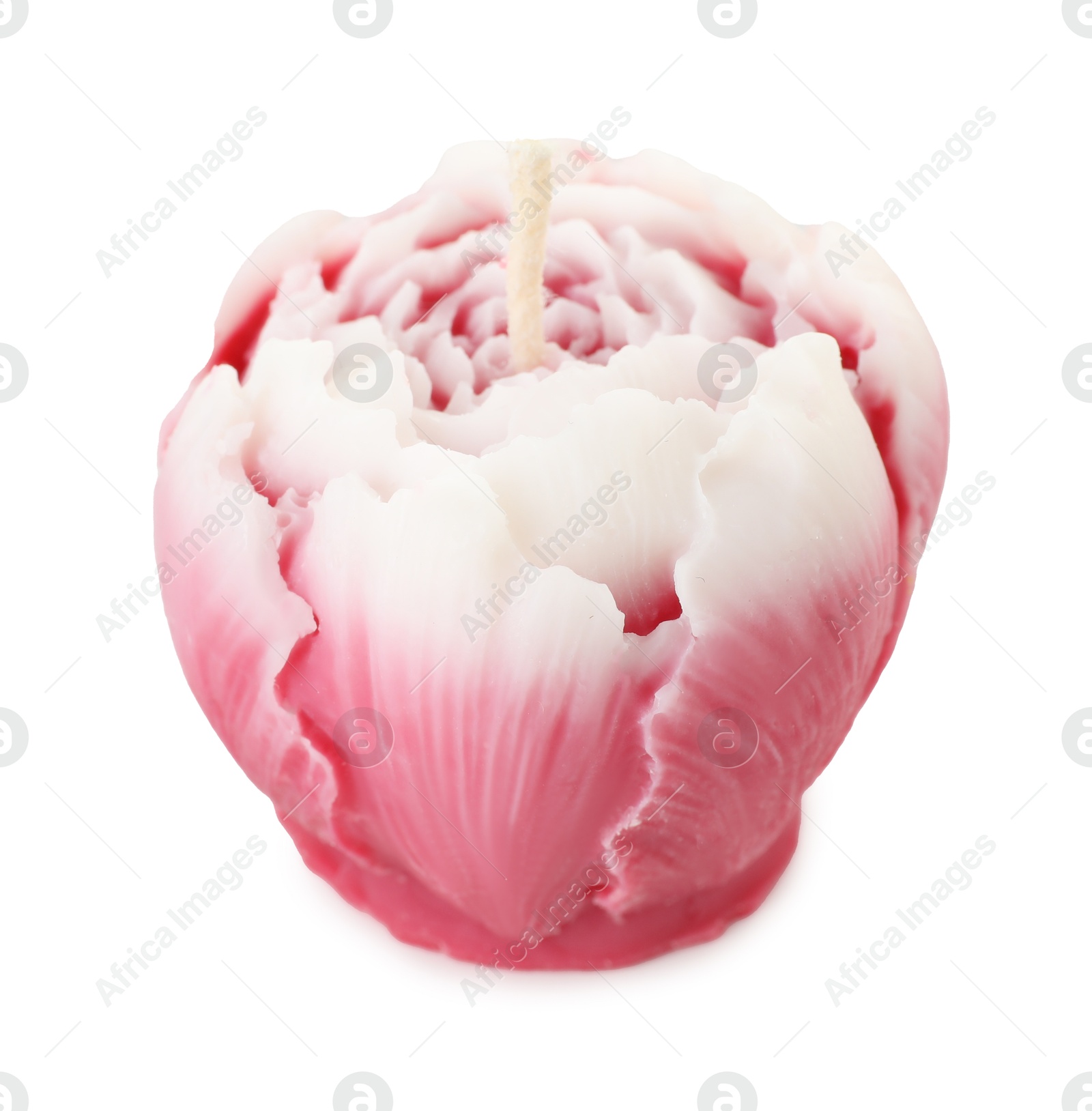 Photo of One beautiful flower-shaped candle isolated on white