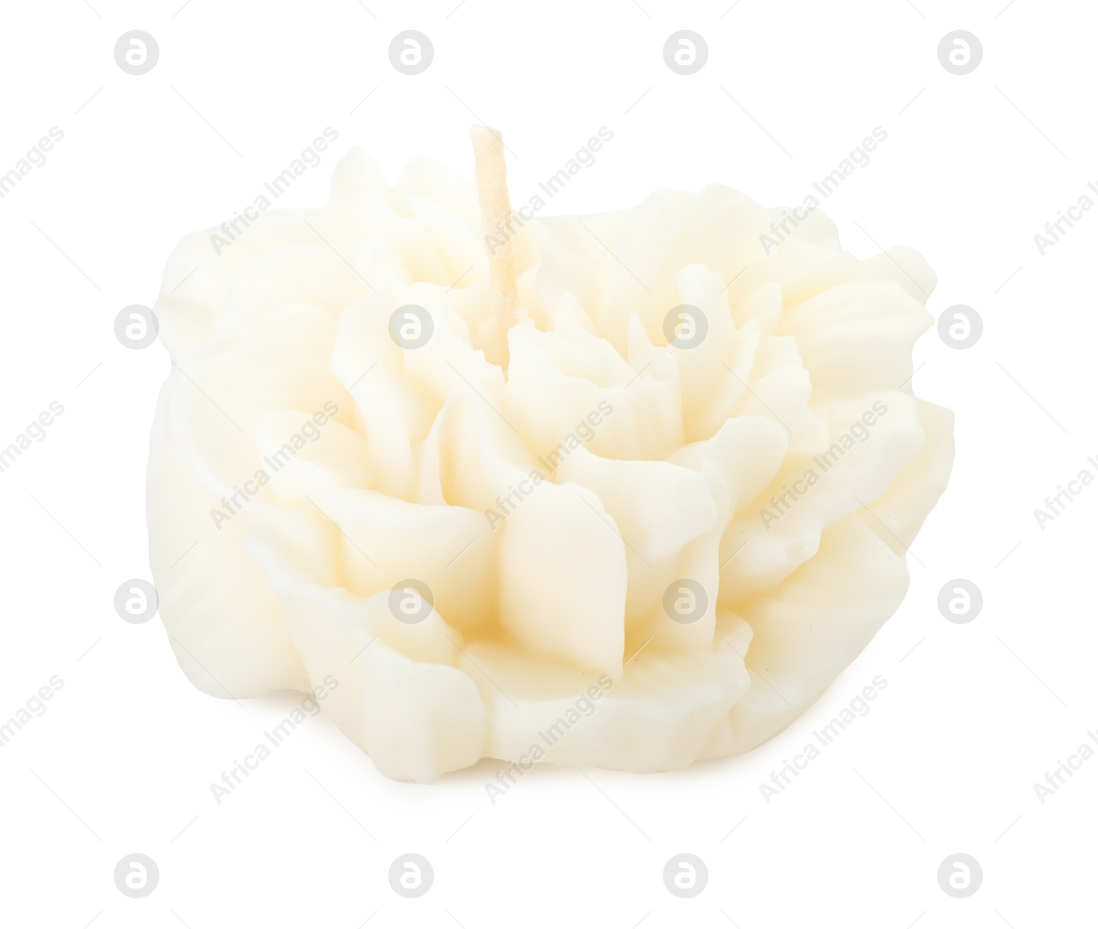 Photo of One beautiful flower-shaped candle isolated on white