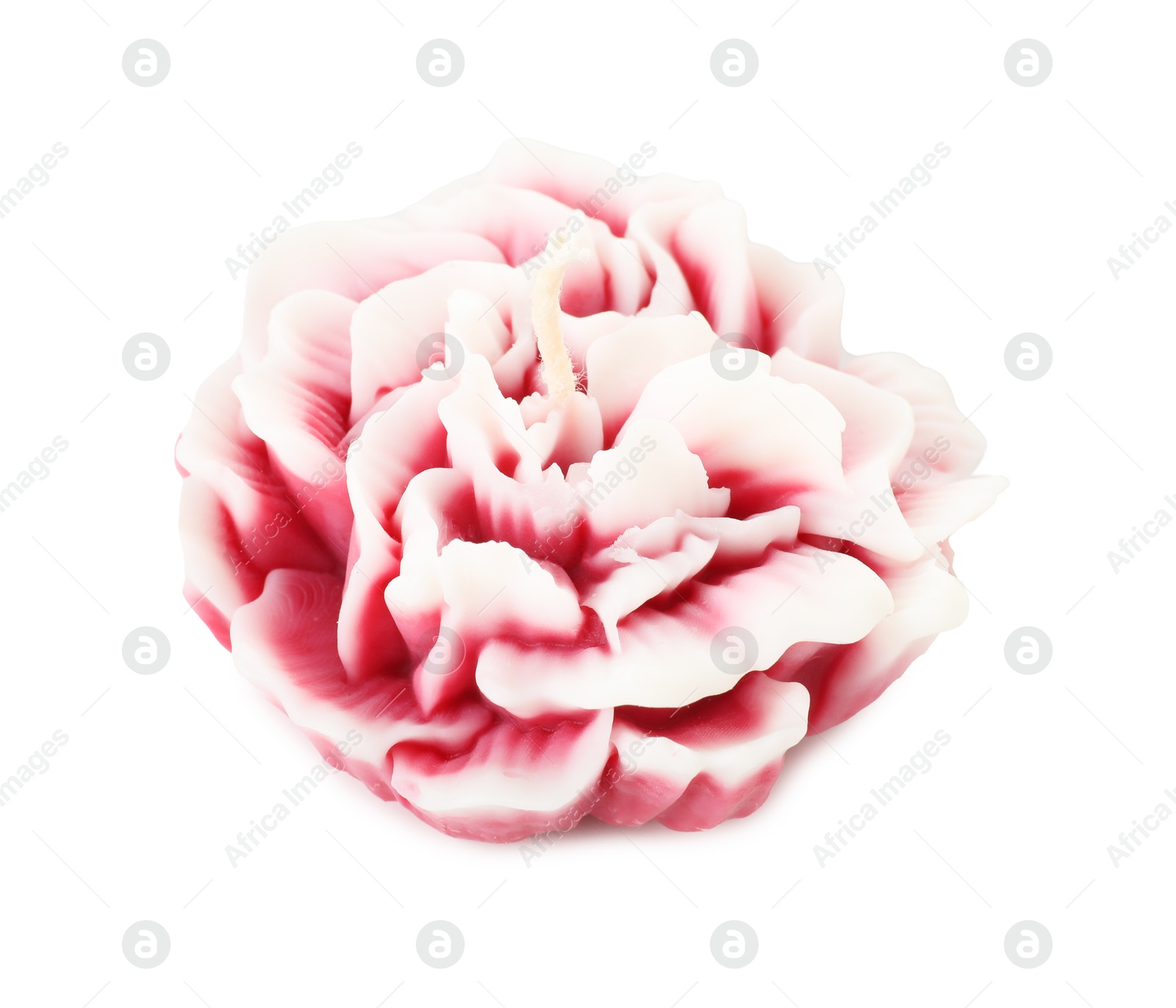 Photo of One beautiful flower-shaped candle isolated on white