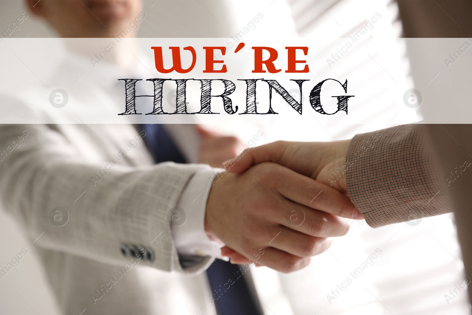 Image of We're hiring. Business people shaking hands in office, closeup. Human resource, recruitment concept