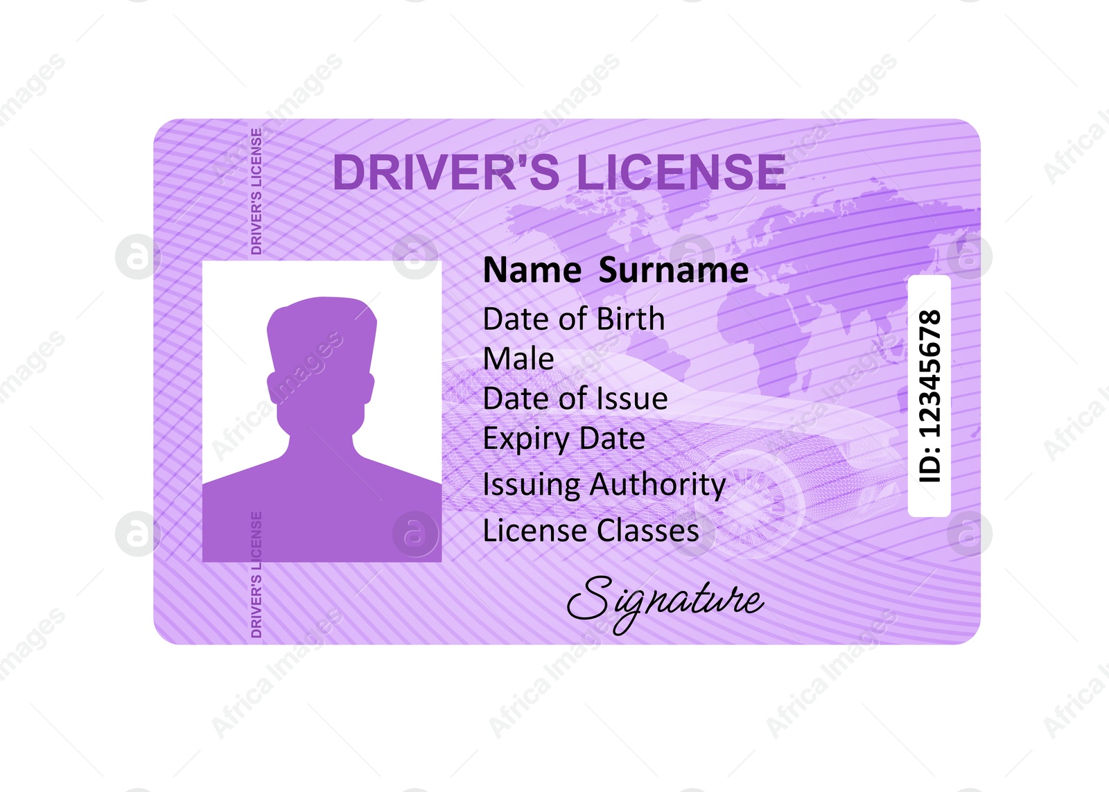 Image of Driver's license with male silhouette and illustration of world map isolated on white