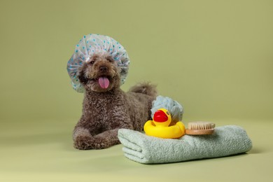 Photo of Cute dog with shower cap and other bath accessories on pale olive background