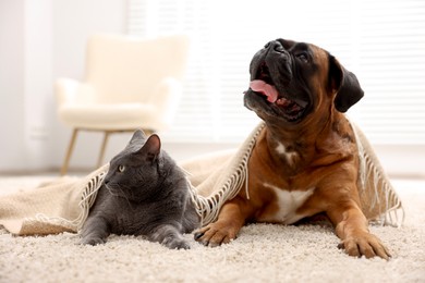 Photo of Cute dog and cat lying on floor at home