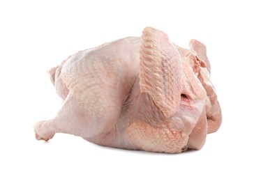 Photo of One whole raw turkey isolated on white