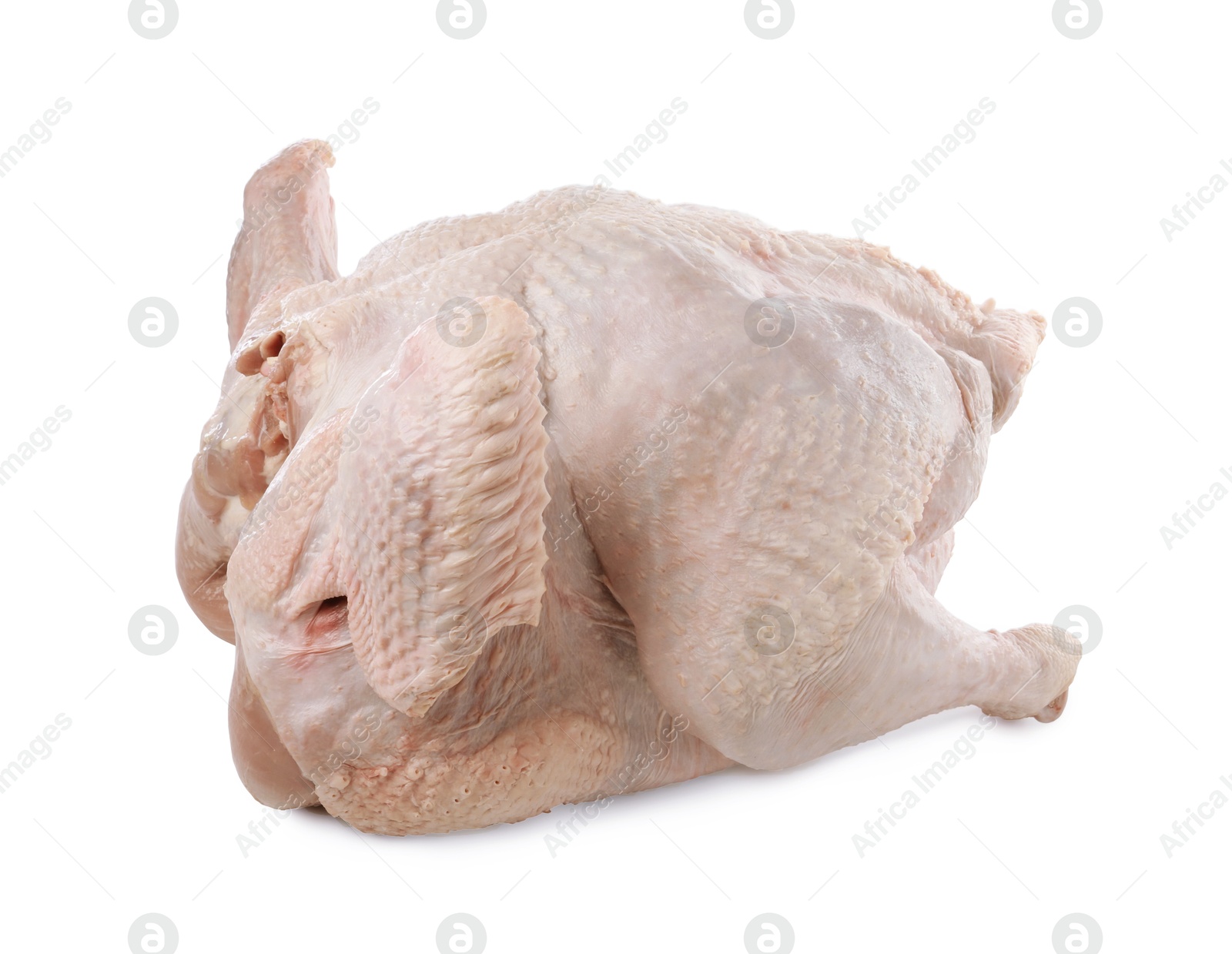 Photo of One whole raw turkey isolated on white