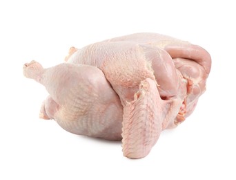 Photo of One whole raw turkey isolated on white