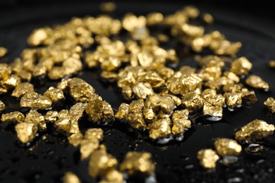 Photo of Gold nuggets on wet black surface, closeup