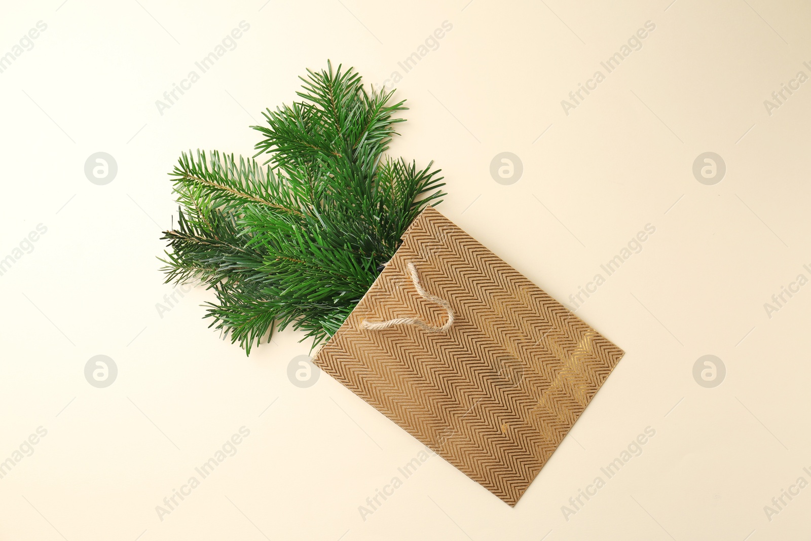 Photo of Christmas bouquet. Green fir branches in bag on beige background, top view