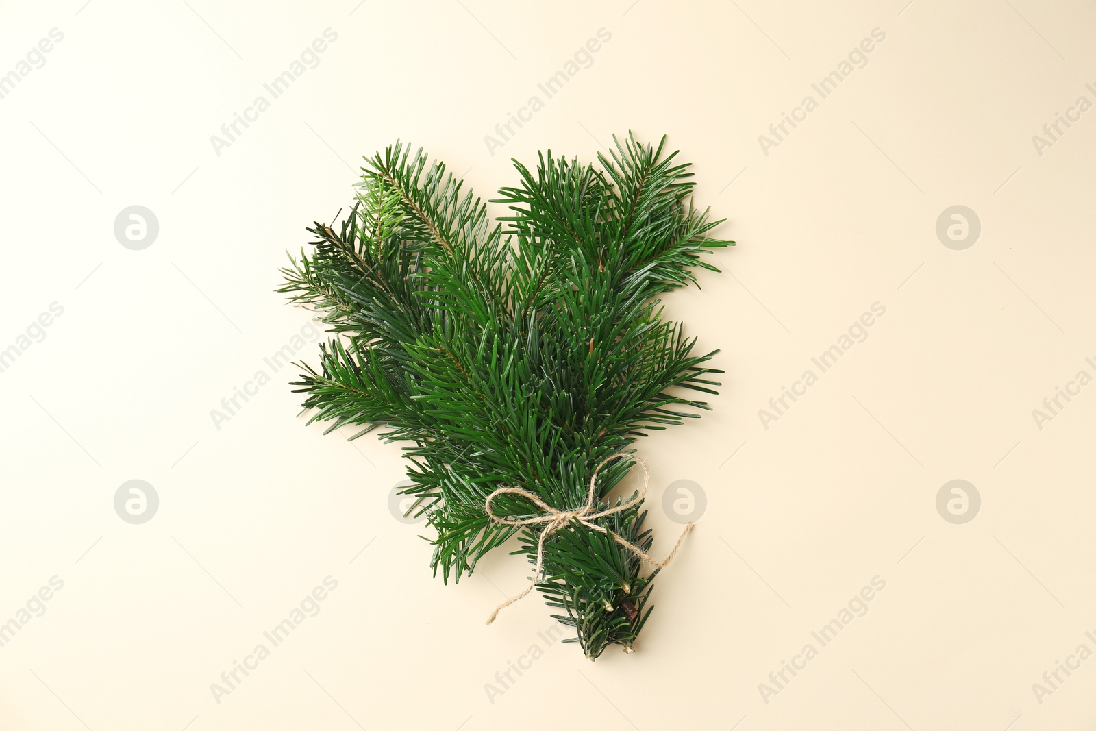 Photo of Christmas bouquet. Green fir branches tied on beige background, top view