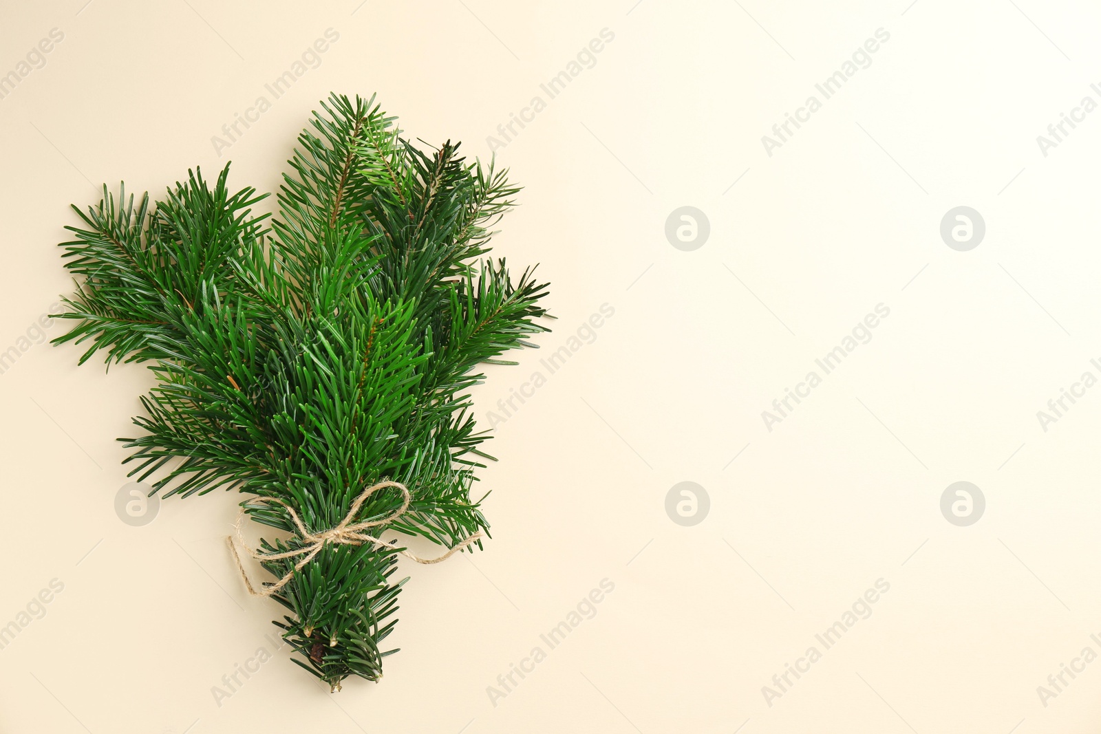 Photo of Christmas bouquet. Green fir branches tied on beige background, top view. Space for text