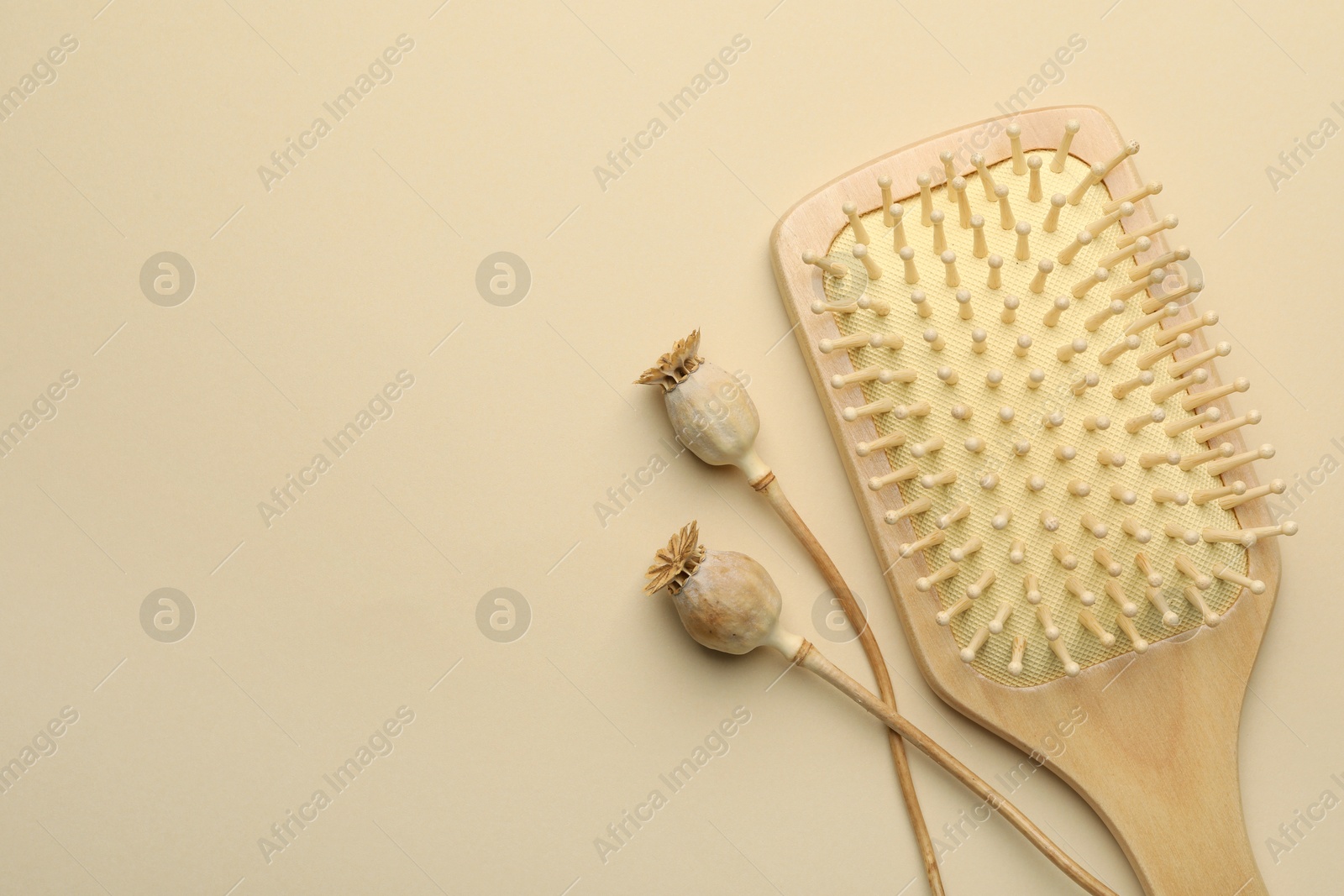 Photo of Wooden hair brush and poppy heads on beige background, top view. Space for text