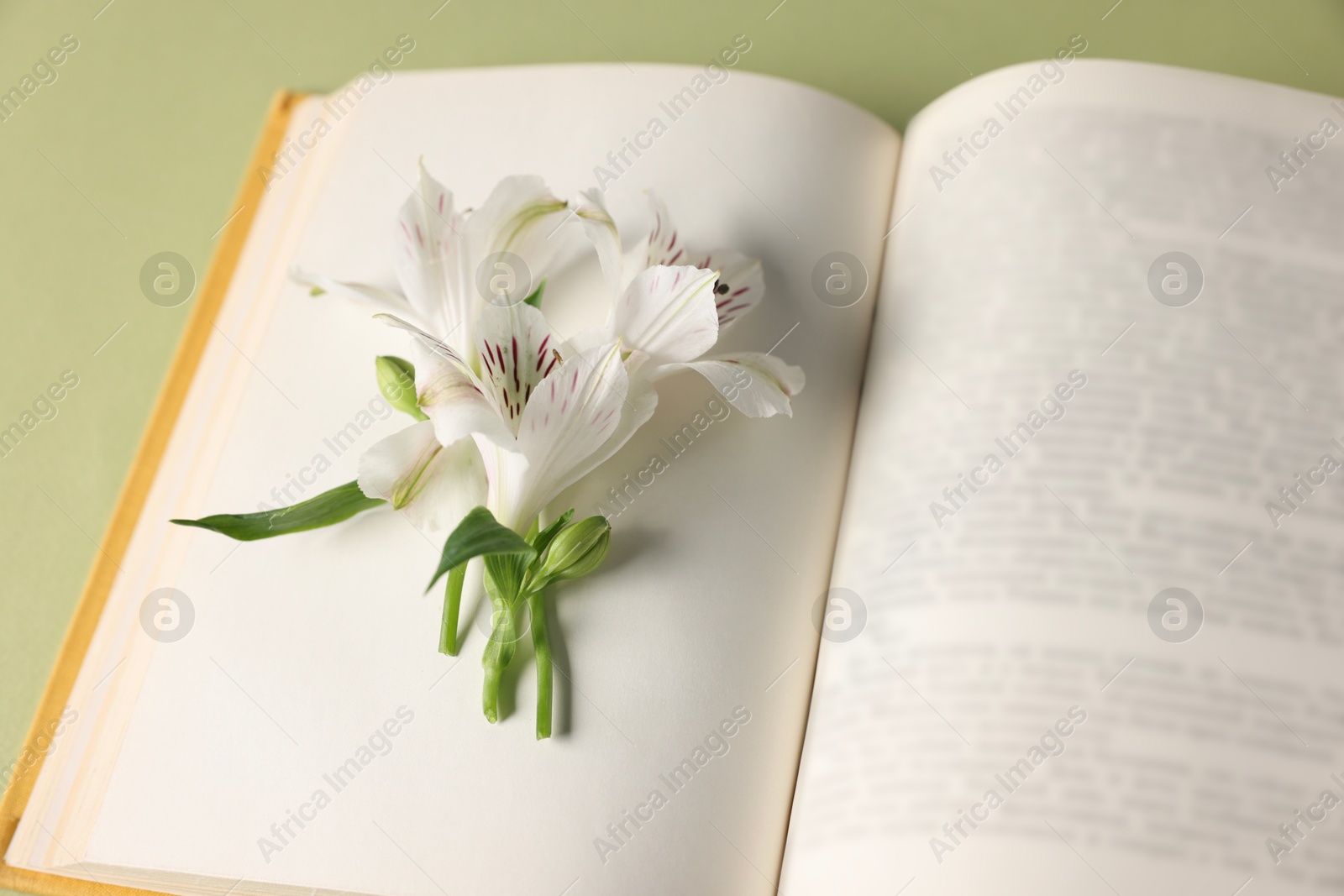 Photo of Book and beautiful alstroemeria flowers on green background, closeup