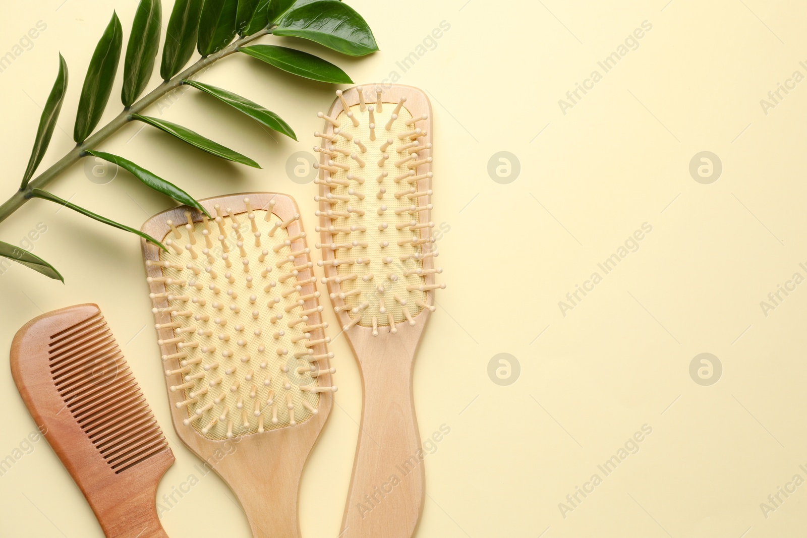 Photo of Wooden hair brushes, comb and green branch on beige background, flat lay. Space for text