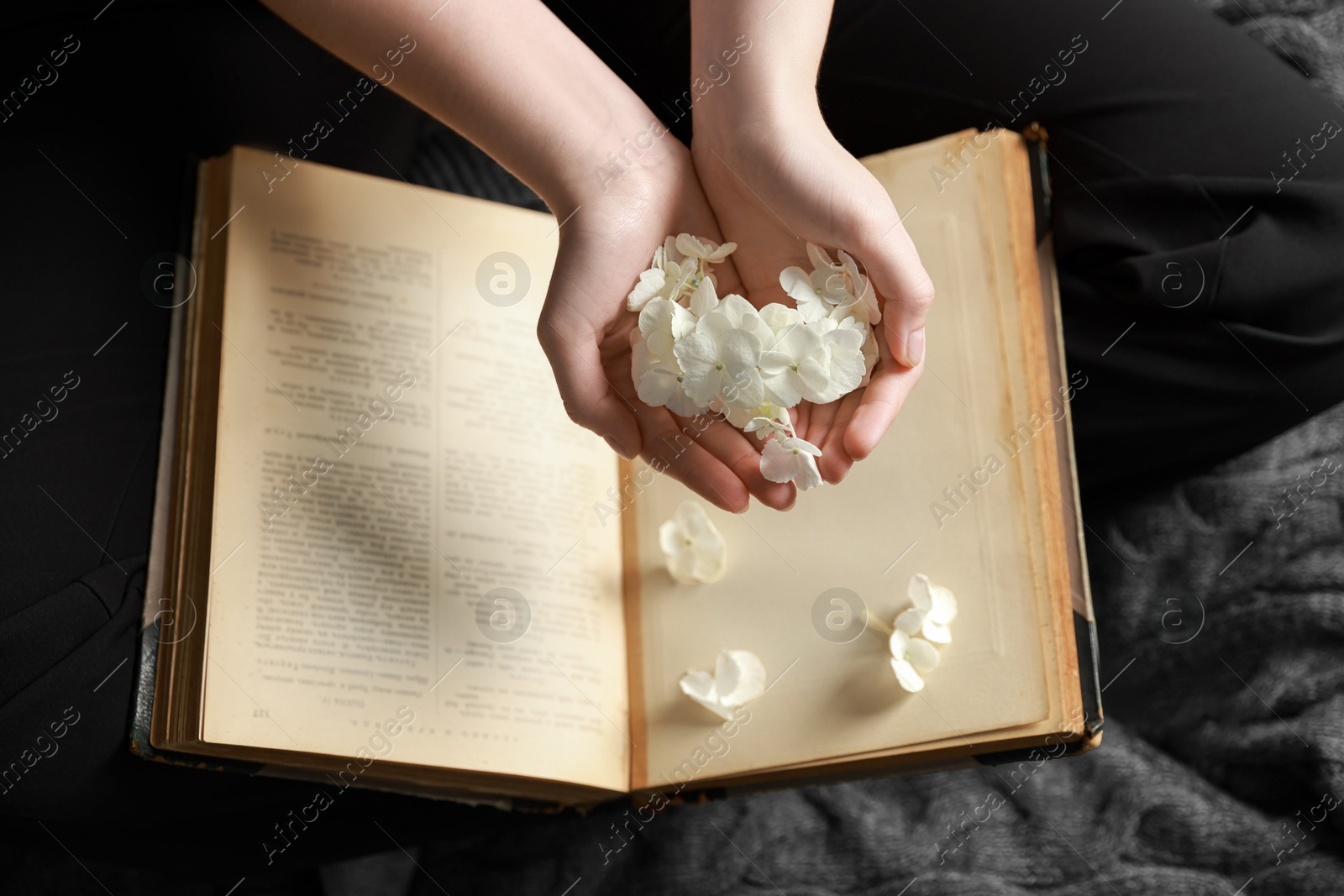 Photo of Woman holding pile of flower buds above book on blanket, top view