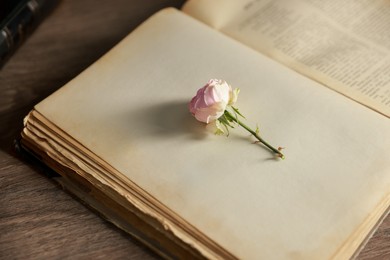 Photo of Open book with beautiful flower on wooden table, closeup