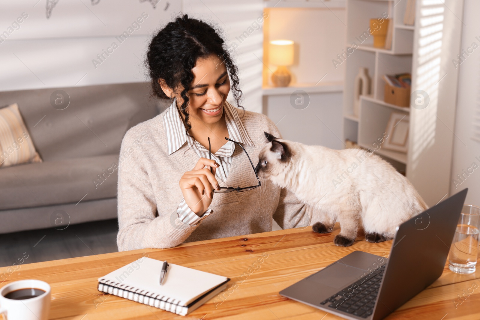 Photo of Beautiful woman with her cute cat working on laptop at desk in home office