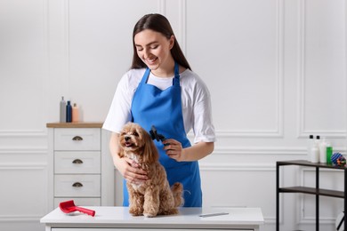 Photo of Woman brushing cute Maltipoo dog in room