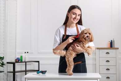 Photo of Smiling woman brushing cute Maltipoo dog indoors