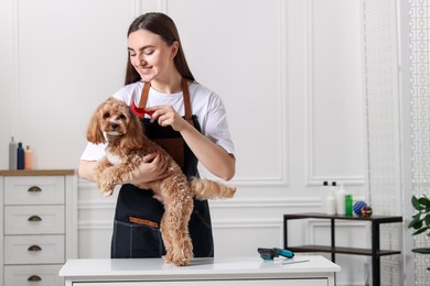 Photo of Woman brushing cute Maltipoo dog in room