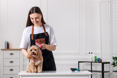 Photo of Smiling woman brushing cute Maltipoo dog indoors