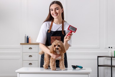 Photo of Woman brushing cute Maltipoo dog in room