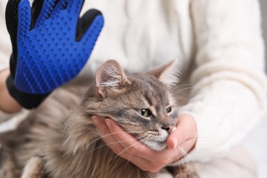 Photo of Woman brushing her cat with grooming glove indoors, closeup