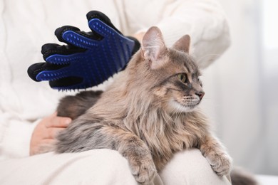 Photo of Woman brushing her cat with grooming glove indoors, closeup