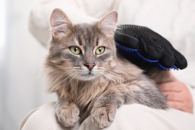 Photo of Woman brushing her cat with grooming glove indoors, closeup