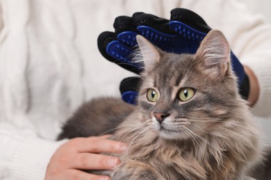 Photo of Woman brushing her cat with grooming glove indoors, closeup