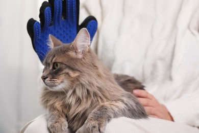 Photo of Woman brushing her cat with grooming glove indoors, closeup