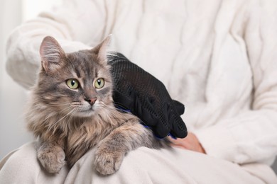 Photo of Woman brushing her cat with grooming glove indoors, closeup