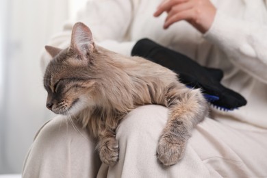 Photo of Woman brushing her cat with grooming glove indoors, closeup