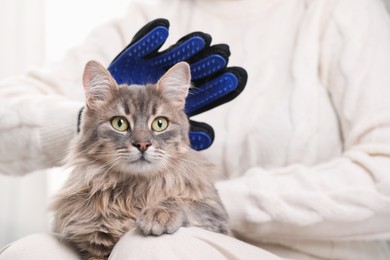 Photo of Woman brushing her cat with grooming glove indoors, closeup