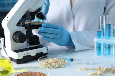 Photo of GMO concept. Scientist examining wheat grains under microscope in laboratory, closeup